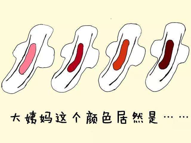 月經(jīng)-2.jpg 月經(jīng)-2.jpg